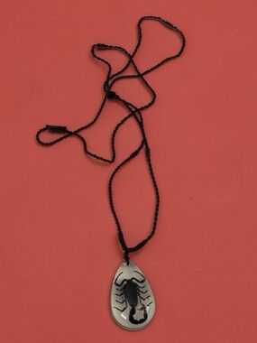 🫶🏻 Scorpion Pendant Necklace on Black Cord